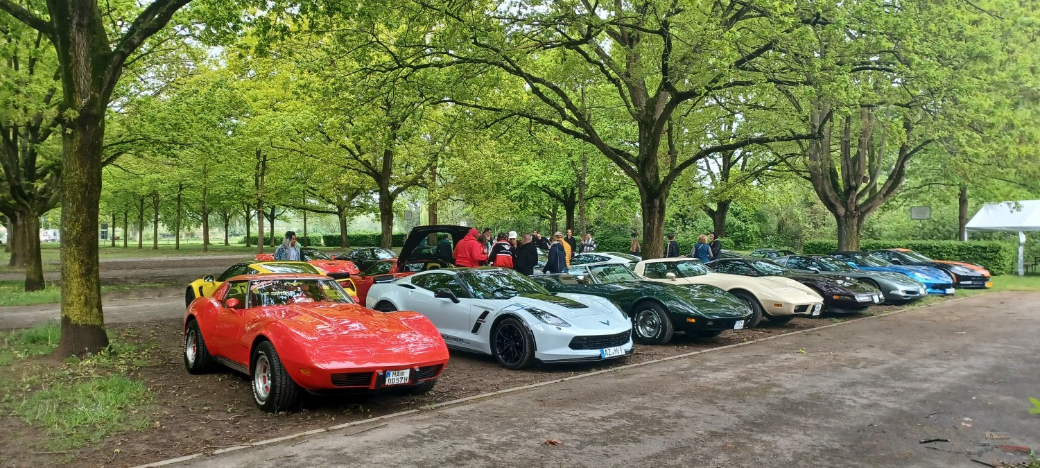 Corvette_Sunday_2022_Chris (29).jpg